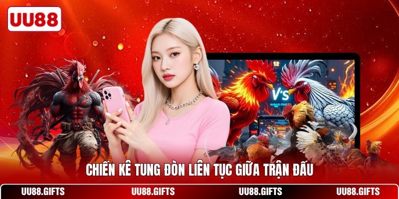 Chiến kê tung đòn liên tục giữa trận đấu