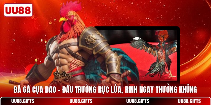Đá Gà Cựa Dao - Đấu Trường Rực Lửa, Rinh Ngay Thưởng Khủng