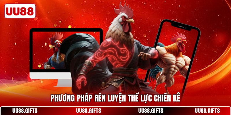 Phương pháp rèn luyện thể lực chiến kê