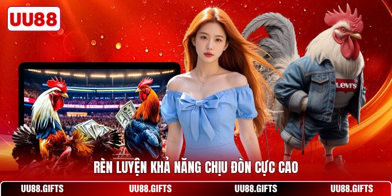 Rèn luyện khả năng chịu đòn cực cao