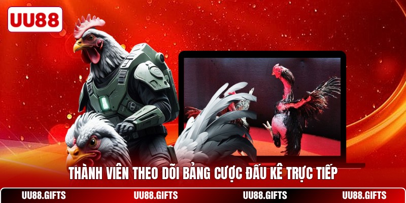 Thành viên theo dõi bảng cược đấu kê trực tiếp