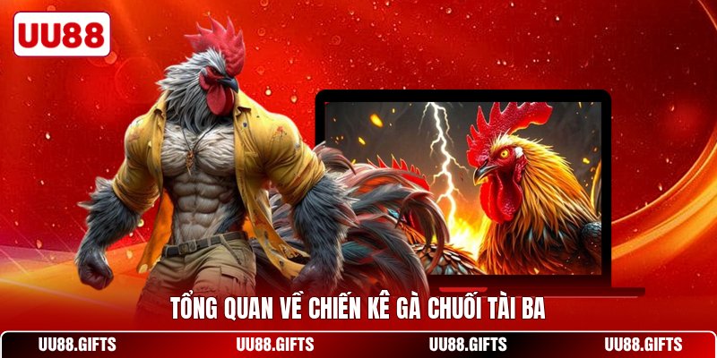 Tổng quan về chiến kê gà chuối tài ba